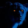 Lionae's profile picture