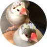 ぶんちょネルラ🌾🍎🍋🍇🍈🍓🍌🍊🥝's profile picture