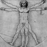 The Bitruvian Man profil fotoğrafı