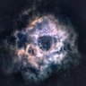Vain's profile picture