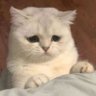 Profilbild von 波利