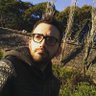Fernando Torok's profile picture