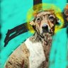 Tomás Quirós's profile picture