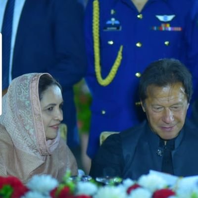 DrNausheenPTI's profile picture