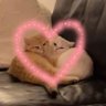 Mora's profile picture