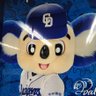 とぴ's profile picture