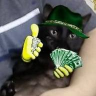 Profilbild von Jarg081