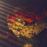 zooz316's profile picture