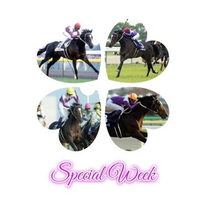 スペシャルウィークの血族を応援する会's profile picture
