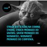 Jerry #RDiP2027 profil fotoğrafı