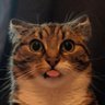 Отак от's profile picture