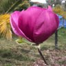 Фото профиля Flora