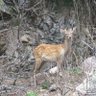 Фото профиля ただの愛猫家