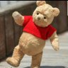 ひよこ🐤🎵's profile picture