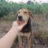 Jingjai2526 的头像