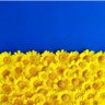 Фото профиля Dominique