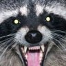 Profilbild von BenE