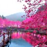 Umhasan 的头像