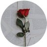 ……….'s profile picture