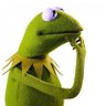 Фото профиля Kermit der Frosch