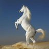 Samm Samm profil fotoğrafı