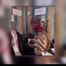 S 7's profile picture