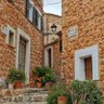 Mediterráneo's profile picture