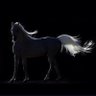 فـــــرح's profile picture