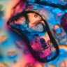 The microscopic gallery GGMAN512 的头像