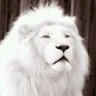 Profilbild von PRINCE DOSUNMU