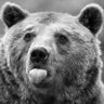Profilbild von O-G B-V