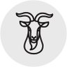 Ibex profil fotoğrafı