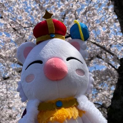 managementmogu's profile picture