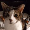 Oliviabhumane's profile picture