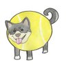 Profilbild von サンデーエレファント