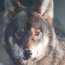 Piotr's profile picture