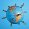 Profilbild von Geo Political Updates