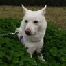 cookiemama profil fotoğrafı