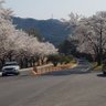 네잎크로바 profil fotoğrafı
