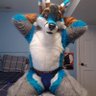 Fenris folf Ad @ FWA's profile picture