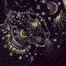 Фото профиля Cat Moon 🌑🐈⬛