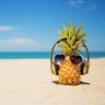 Profilbild von HardyOnTheBeach🏝