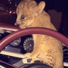 Naif Bin Salem's profile picture