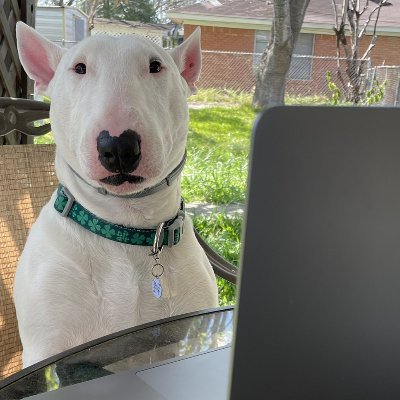 just_vidyas's profile picture