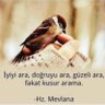 Hayri Başalan profil fotoğrafı