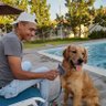 tony's profile picture