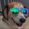 Profilbild von Tayson