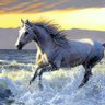 Фото профиля Hoda Wasfy
