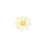 lva's profile picture