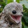 Craftsy's profile picture